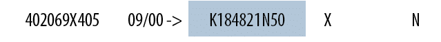 402069X405,09/00 ->,K184821N50,X,,N